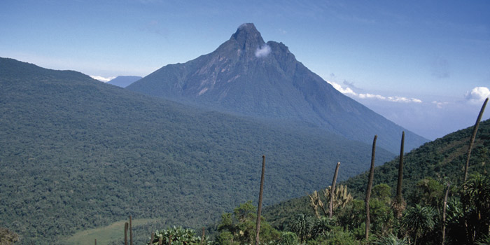 Rwandan scenery