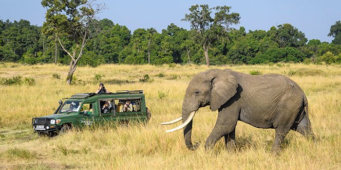 Game drive