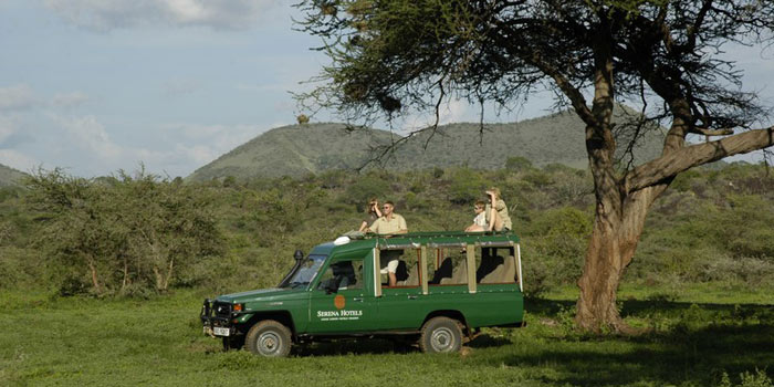 Game drive
