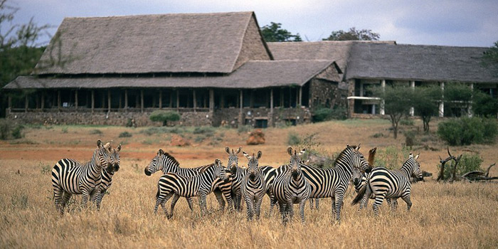 Wildlife at the lodge