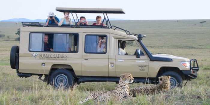 Game drive Game drive