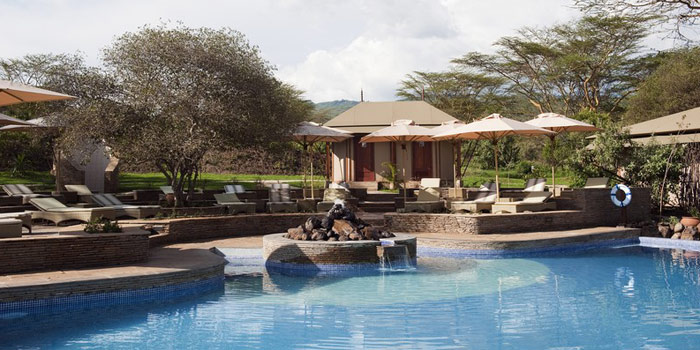 africa, Jambo Africa, Africa Safari, wildlife safari, Lake Elmenteita