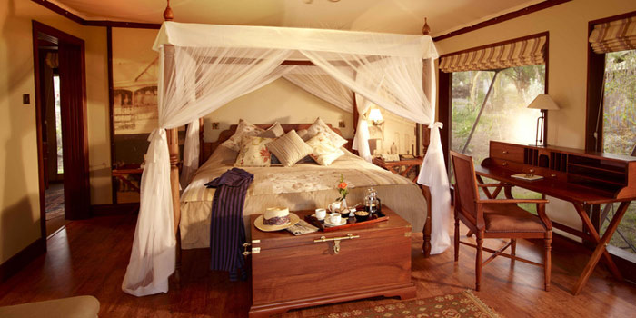 africa, Jambo Africa, Africa Safari, wildlife safari, Lake Elmenteita