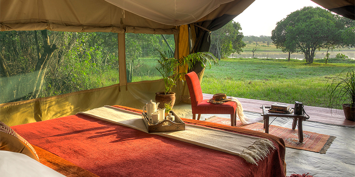 View from tent