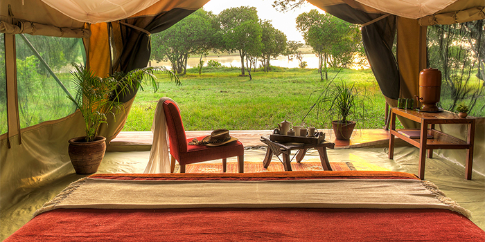 Tent with a view