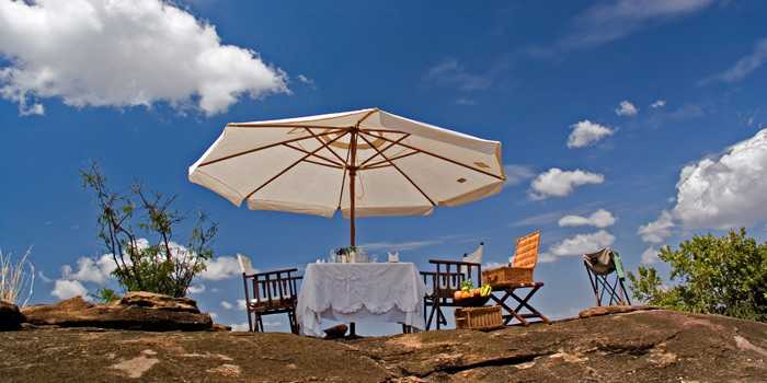 Picnic Lunch