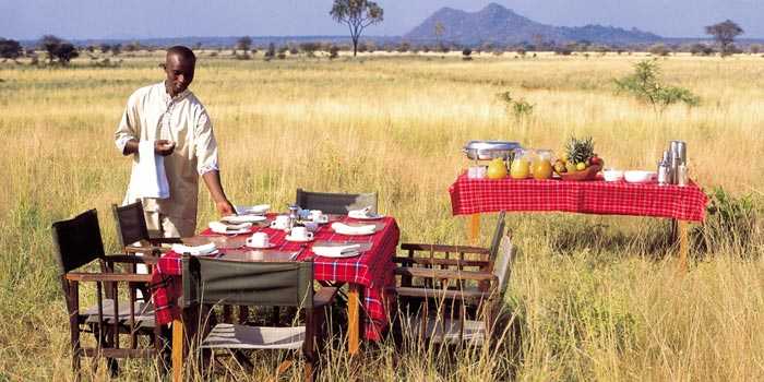 Bush breakfast