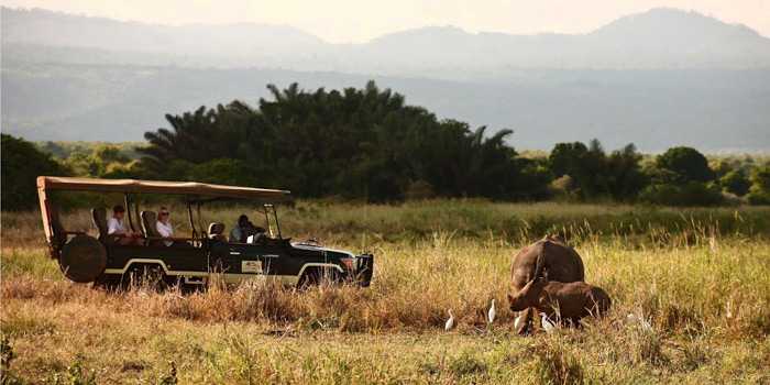Game Drive