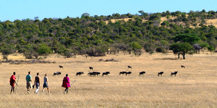 Walking safari