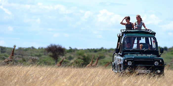 Game drive