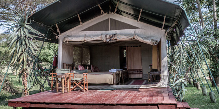 Tent