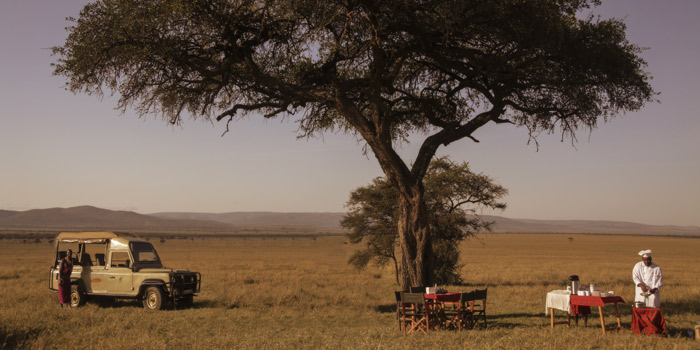 Bush breakfast