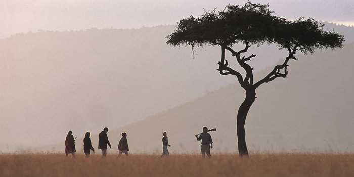 Walking safari