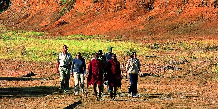 Amboseli game walk Amboseli game walk