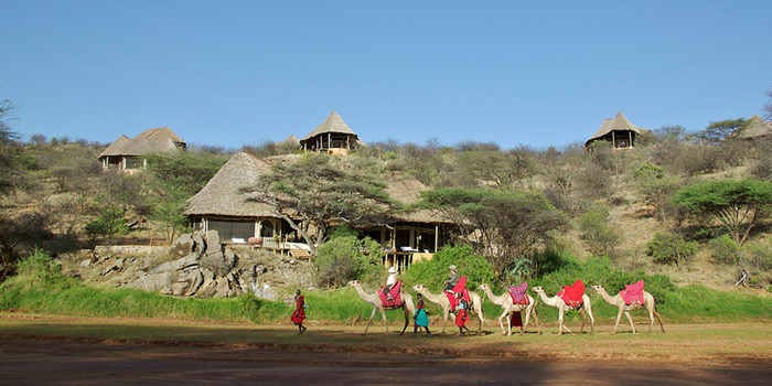 Camel Riding