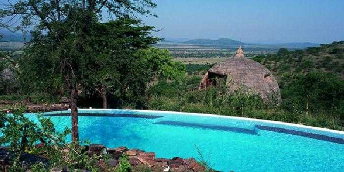 Serena Serengeti Serena Serengeti