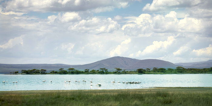 Lake Elmenteita Lake Elmenteita