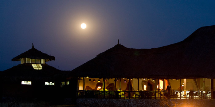 By night
