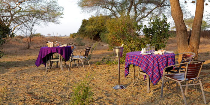 Bush dinner