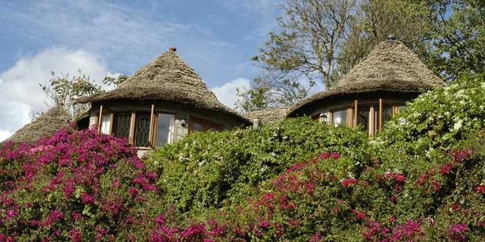 Exterior of rooms