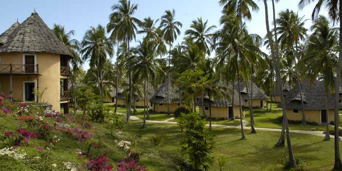 Overview