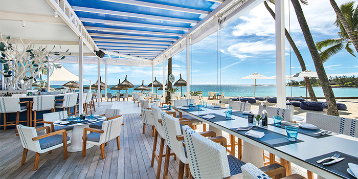 The Blu Bar