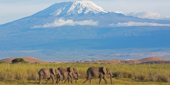 Amboseli