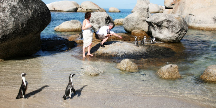 Boulders Beach
