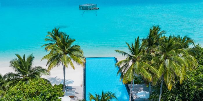 Infinity Pool and Coralarium,