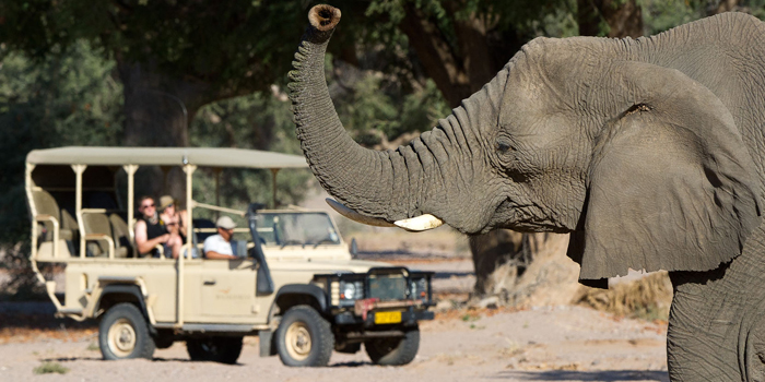 Game drive