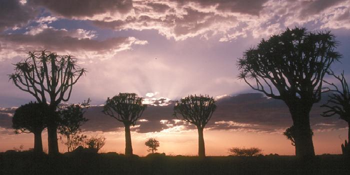 Beautiful sunset Beautiful sunset