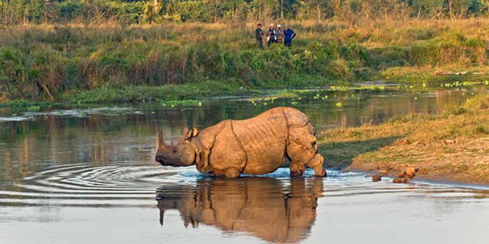 Chitwan National Park