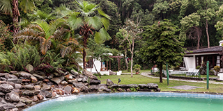 Garden and Pool