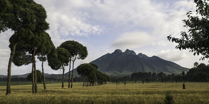Mount Sabyinyo