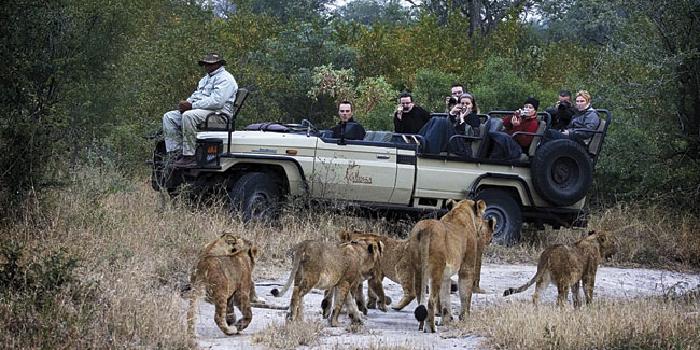 Game drive