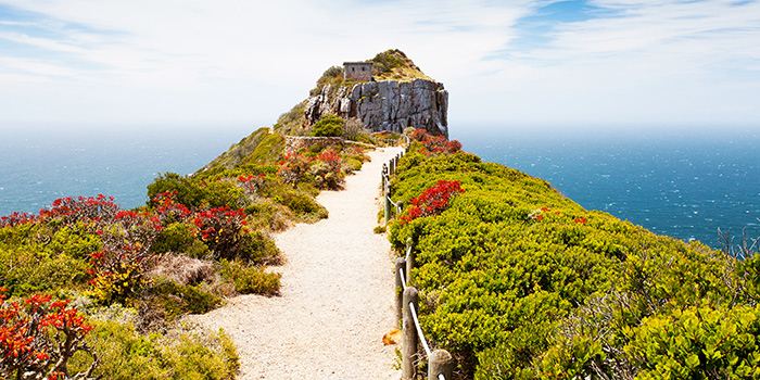 Cape Point Cape Point