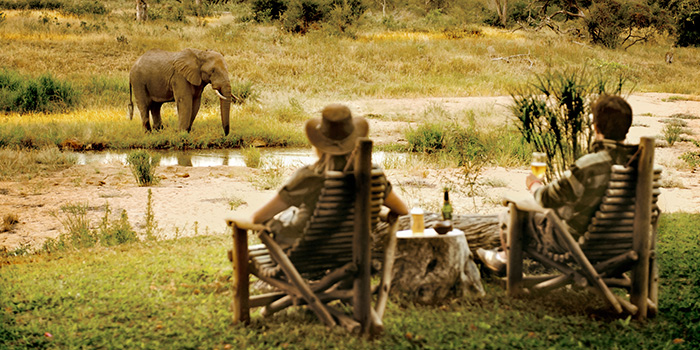 Motswari Private Game Reserve Motswari Private Game Reserve