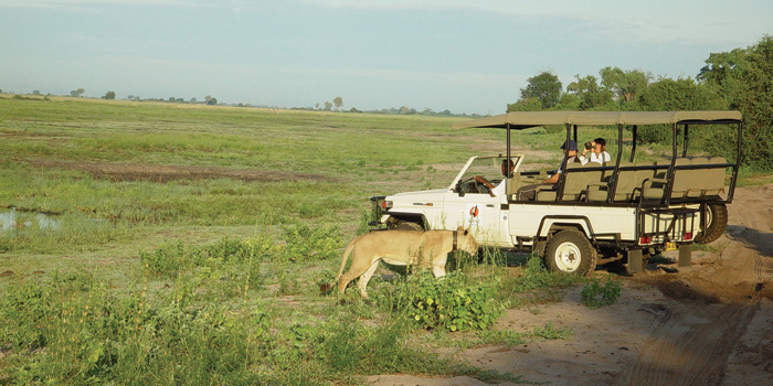 Game drive