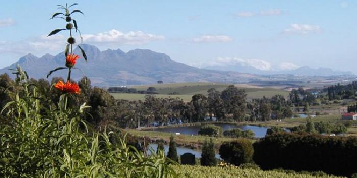 View from terrace