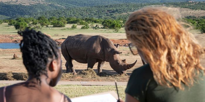 5 Rhino monitoring experience