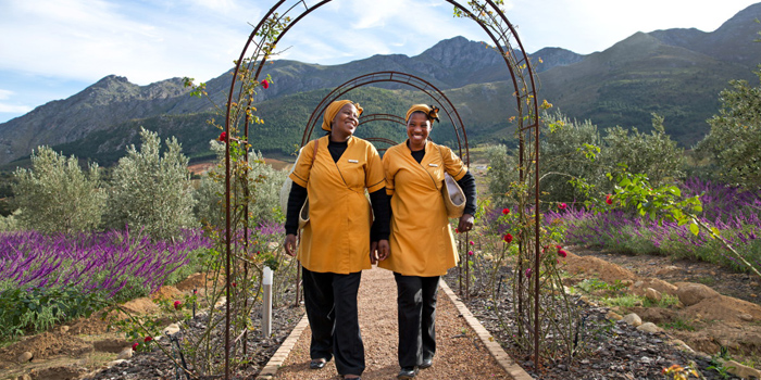 Stroll through the Vineyard