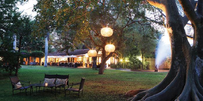 Alfresco dining