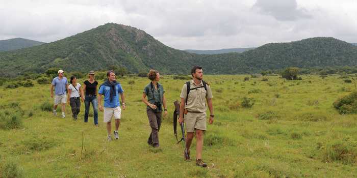 Walking safari