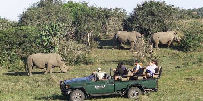 Game drive