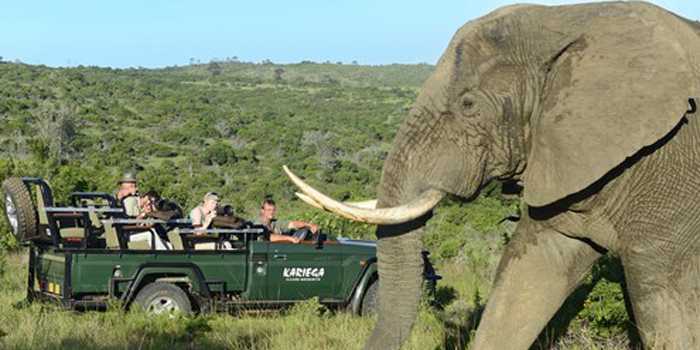 Game drive