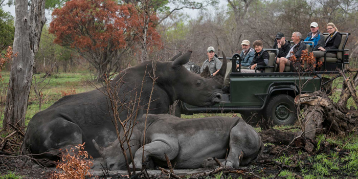 Game drive