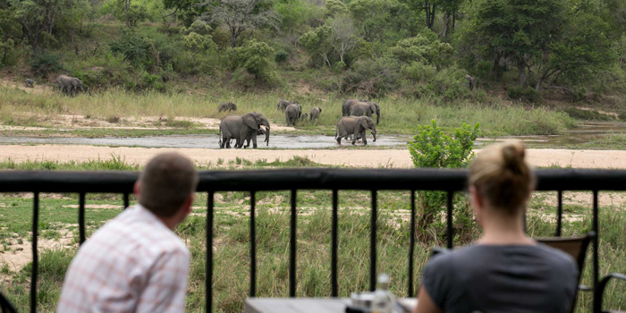 View from the lodge