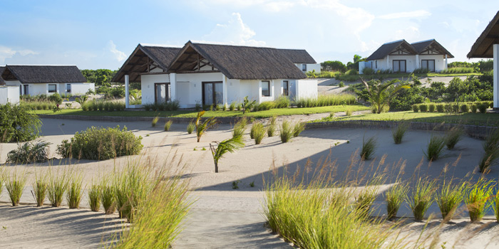 The grounds