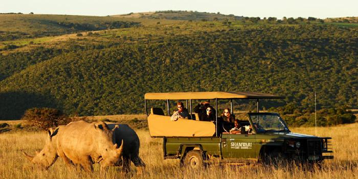 Game drive