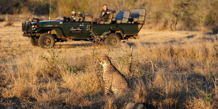 Game drive